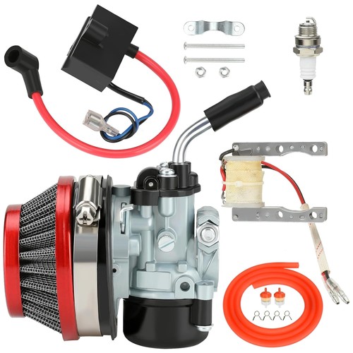 80cc 100cc 50cc 66cc motorized - 100cc,